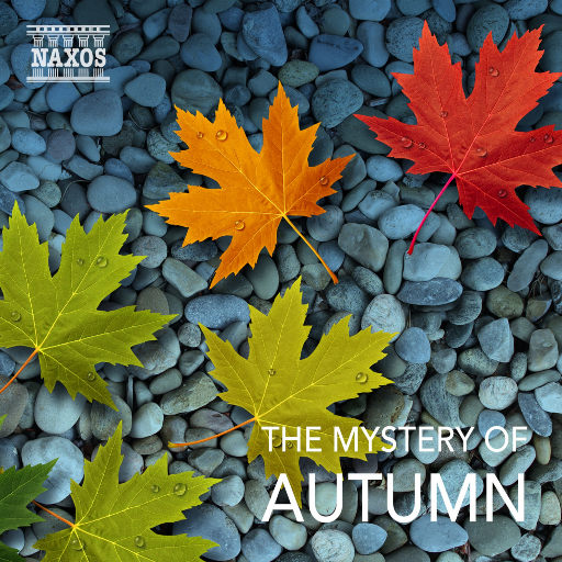 美国大片ppt免费少女
